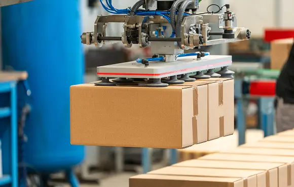 Progettazione e Realizzazione di teste di presa su misura RMP per la pallettizzazione delle Scatole nel Finelinea